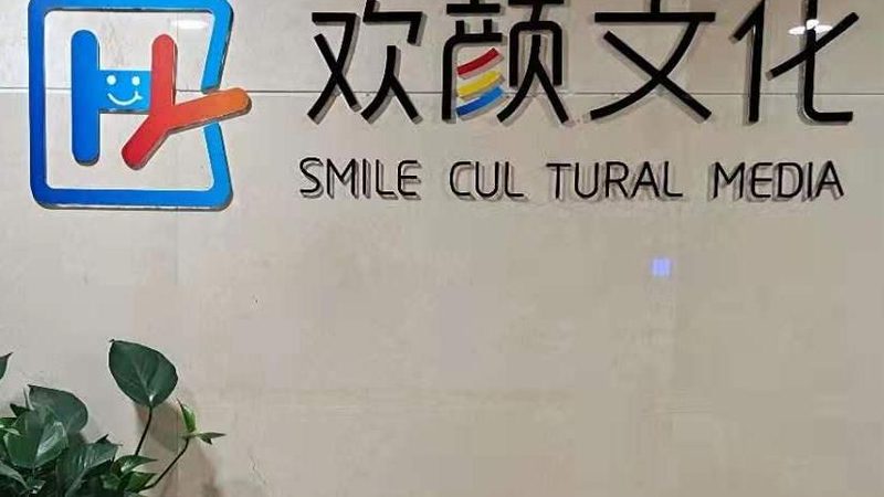品牌策划方案：解码其优缺点，助力企业精准决策